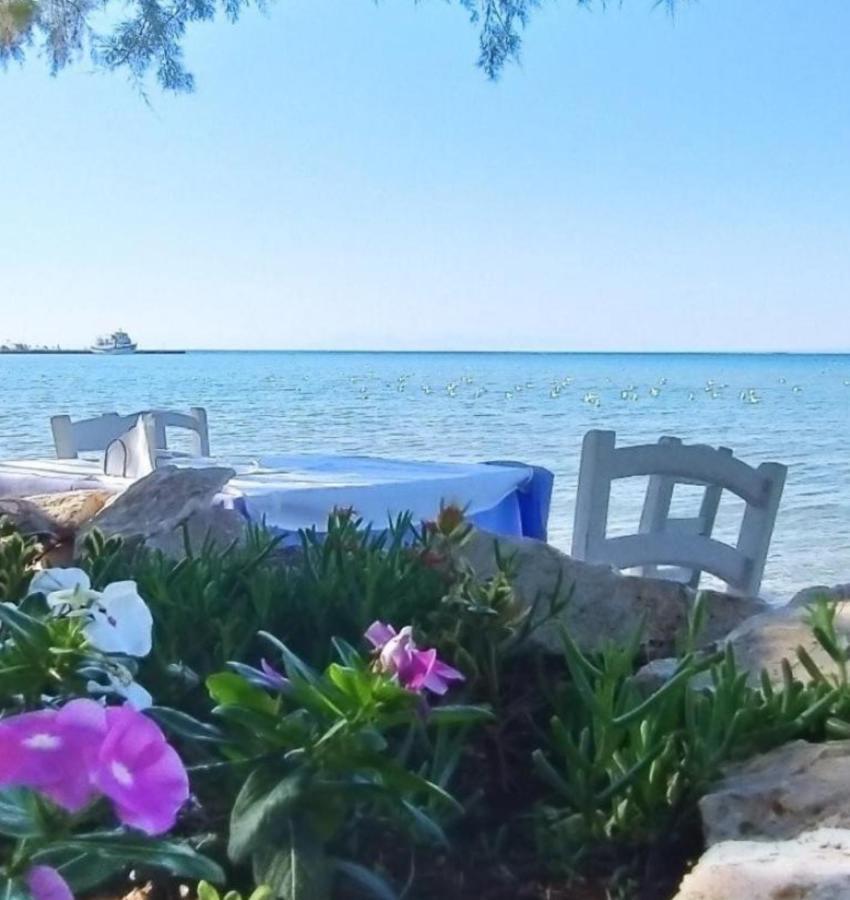 Luxury House For All Seasons سالونيك المظهر الخارجي الصورة
